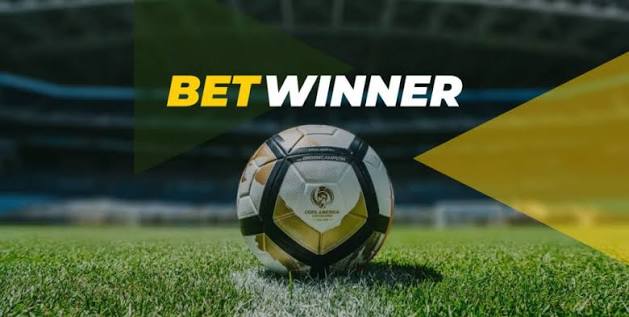 Experience Thrills at BetWinner Online Casino